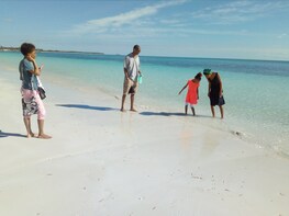 Full Day Private East End Eco & Cultural Experience