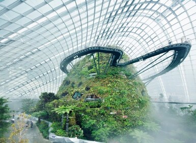 Gardens by the Bay with 1-Way Transfer