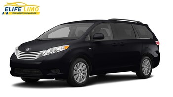 Private Minivan