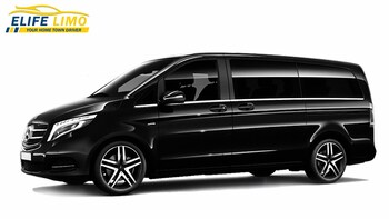Private Luxury Minivan