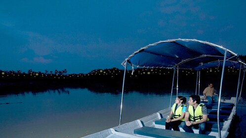 Private Fireflies Tour With Seafood Dinner