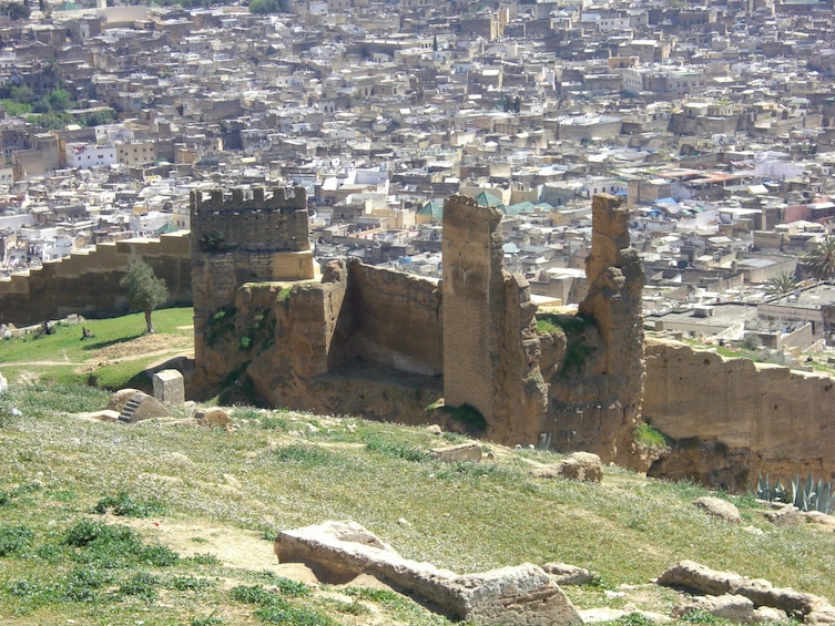 Full Day Guided Tour of Fez