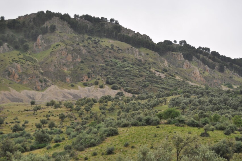 Day Trip hiking the Mount Zalagh from Fez with a small group