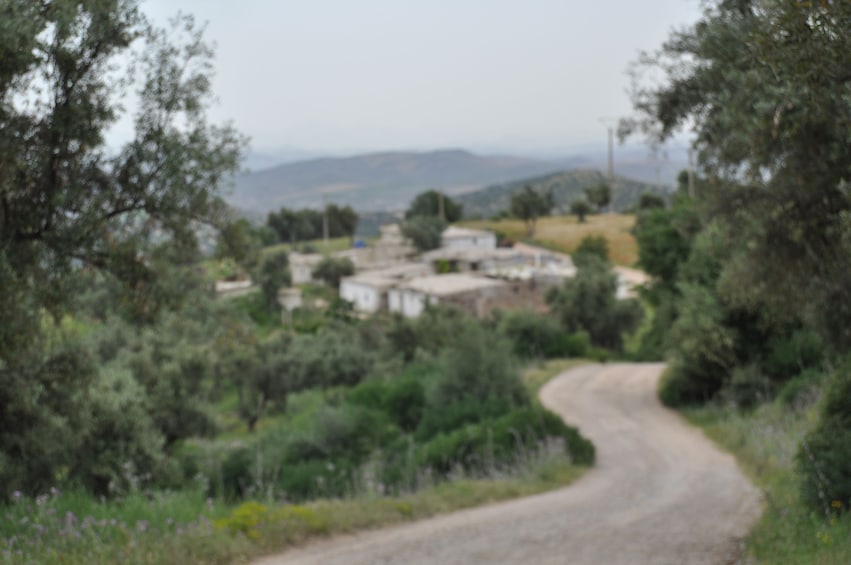 Day Trip hiking the Mount Zalagh from Fez with a small group