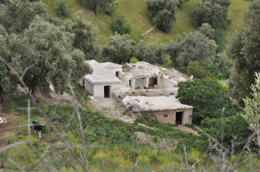 Day Trip hiking the Mount Zalagh from Fez with a small group