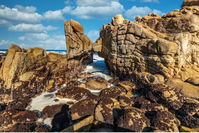 Monterey: 17-Mile Drive Self-Guided Audio Tour