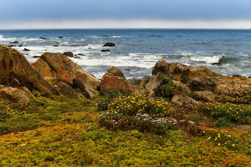 Scenic 17-Mile Self-Guided Driving Tour