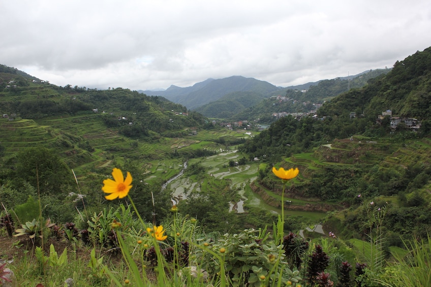 Show item 1 of 5. 4-Days Banaue & Sagada Shared Tour Package