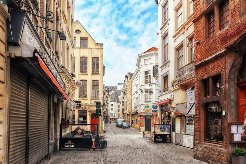 Private & Personalised Full Day in Brussels with a Local