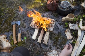 Arctic Survival