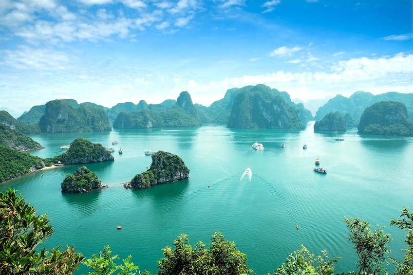 Landscape view of the boats on Ha Long Bay