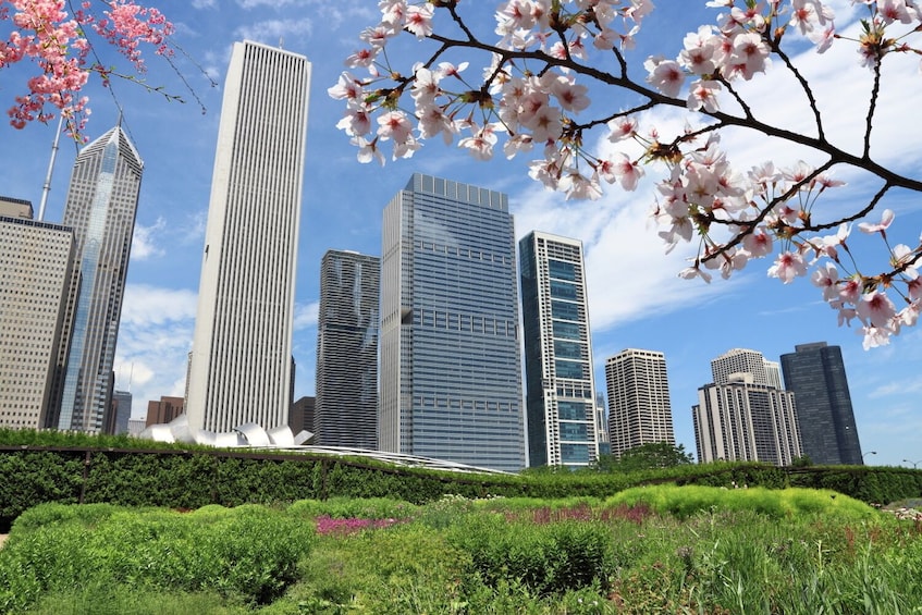 Chicago: Millennium Park Self-Guided Walking Tour