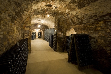 Epernay Champagne Tour from Paris