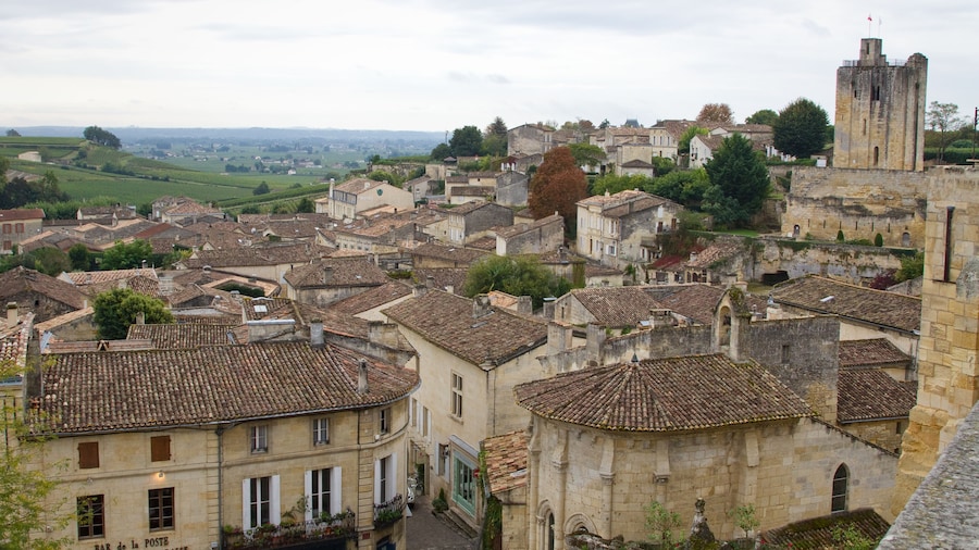 Bordeaux Day Tour From Paris