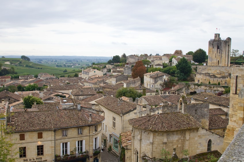 Bordeaux Day Tour From Paris