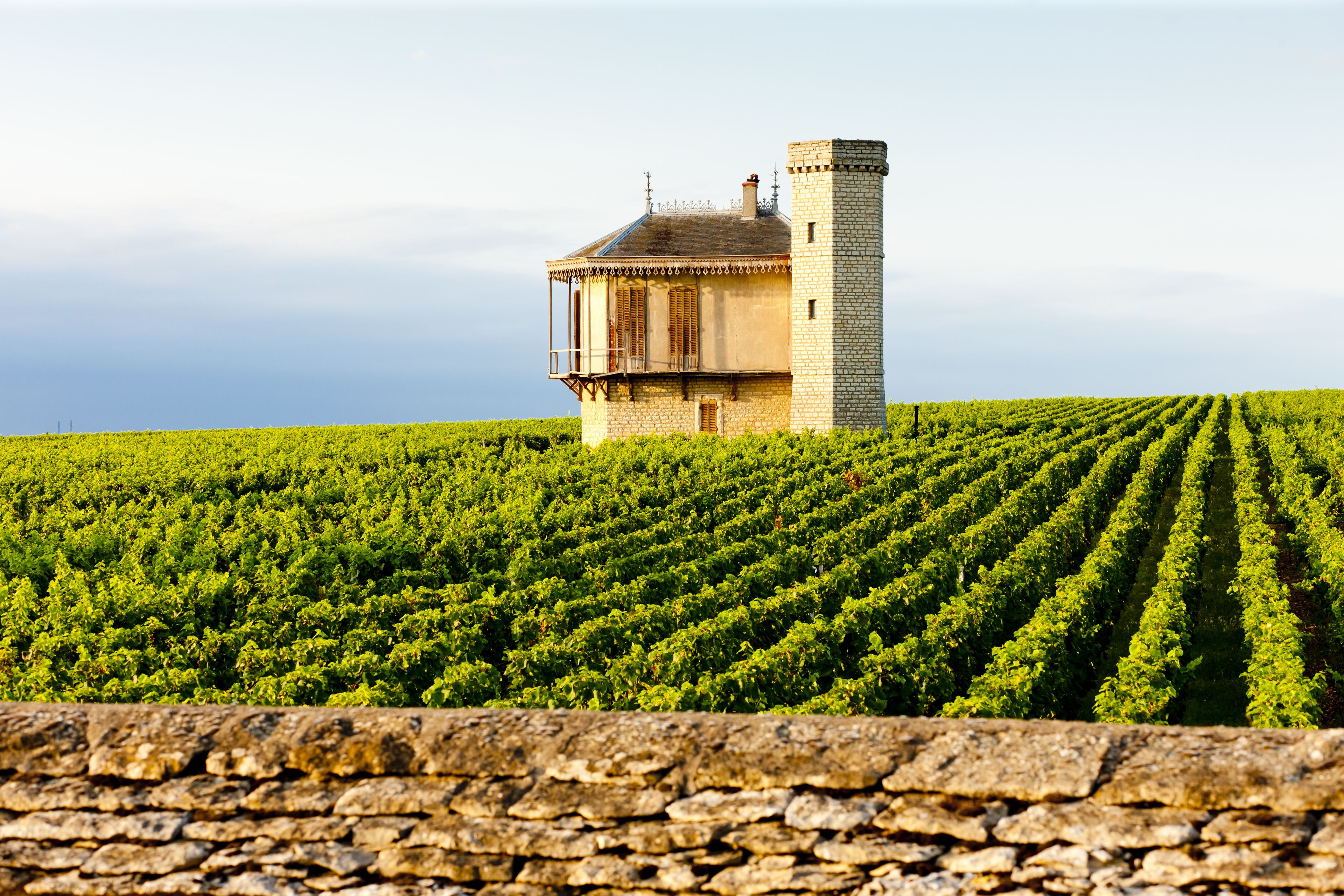 burgundy tour from paris