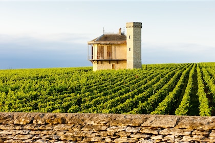 Burgundy Day Tour From Paris