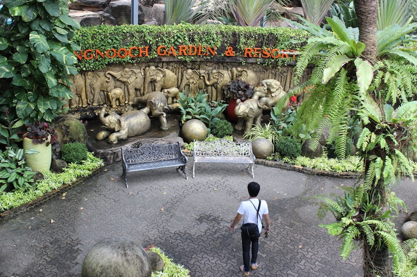Pattaya Nong Nooch Tropical Garden Admission Ticket