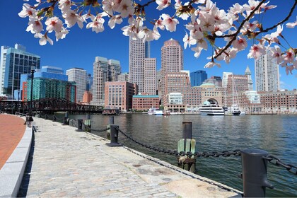 Boston Harborwalk Tour: Self-Guided Walking Audio Tour