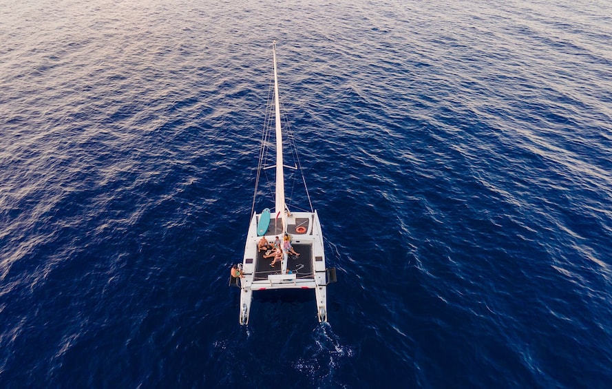 Exclusive half day Catamaran sailing trip