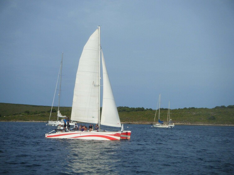 Exclusive half day Catamaran sailing trip