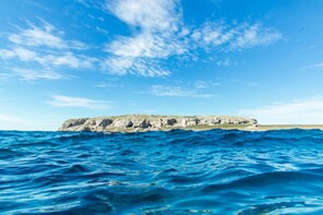 punta mita marietas sightseeing snorkel