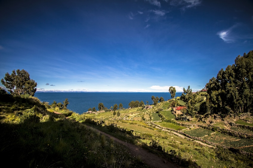 Full-Day Tour to the Floating Islands of Uros & Taquile 