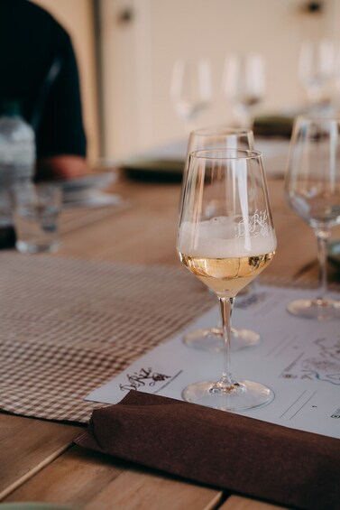 Prosecco Wine Tour from Venice