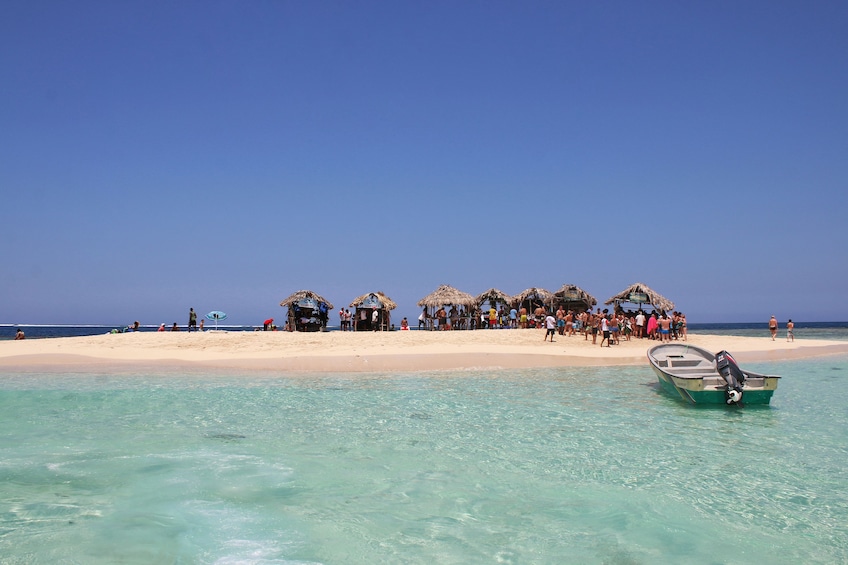 Paradise Island Adventure from Puerto Plata