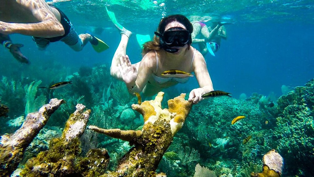 Paradise Island Adventure from Puerto Plata