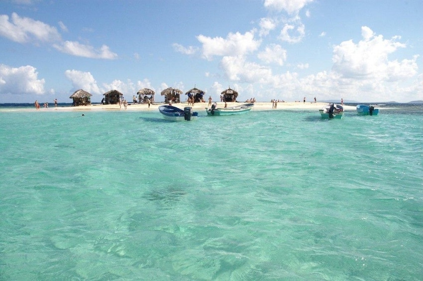 Paradise Island Adventure from Puerto Plata