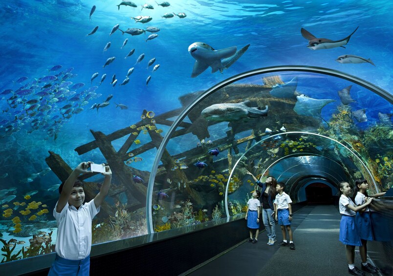 Show item 3 of 8. Amazing Sentosa Island Guided Tour with Hotel Transfers