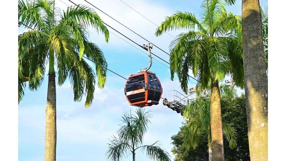 Show item 4 of 8. Amazing Sentosa Island Guided Tour with Hotel Transfers