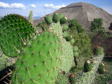 Teotihuacan Tour: Entdecke die atemberaubenden Pyramiden rund um Mexiko-Sta...