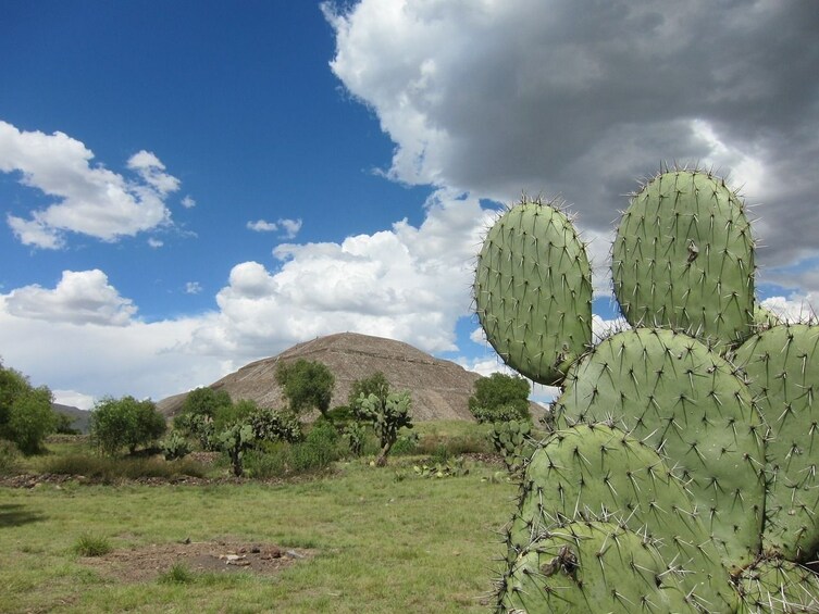 Mexico: Private tour to Teotihuacan