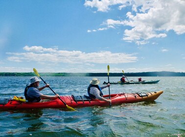 Orleans Island Sea Kayaking Tour