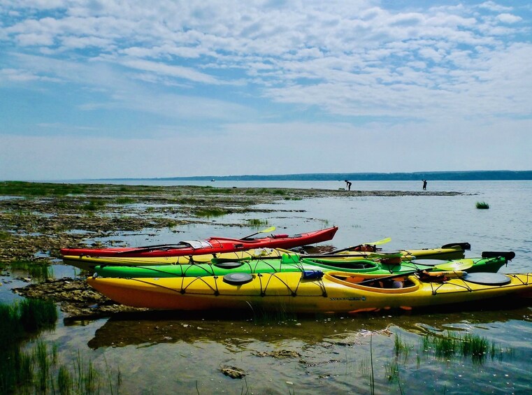 Orleans Island Sea Kayaking Tour