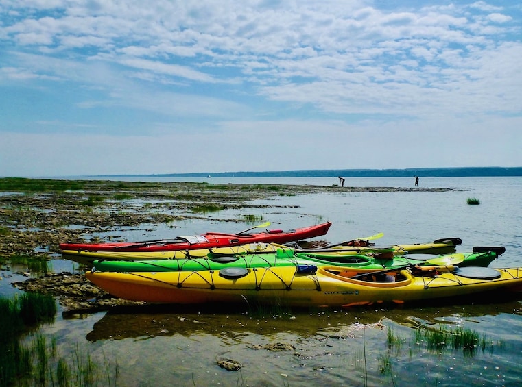 Orleans Island Sea Kayaking Tour