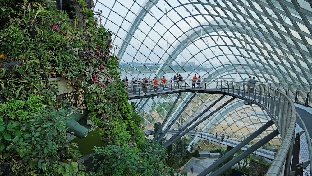 Gardens by the Bay with Hotel Pickup