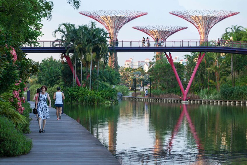 Gardens by the Bay with Hotel Pickup