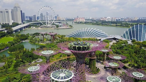 Sands SkyPark+Gardens by the Bay(FlowerDome&CloudForest)+Roundtrip Transfer