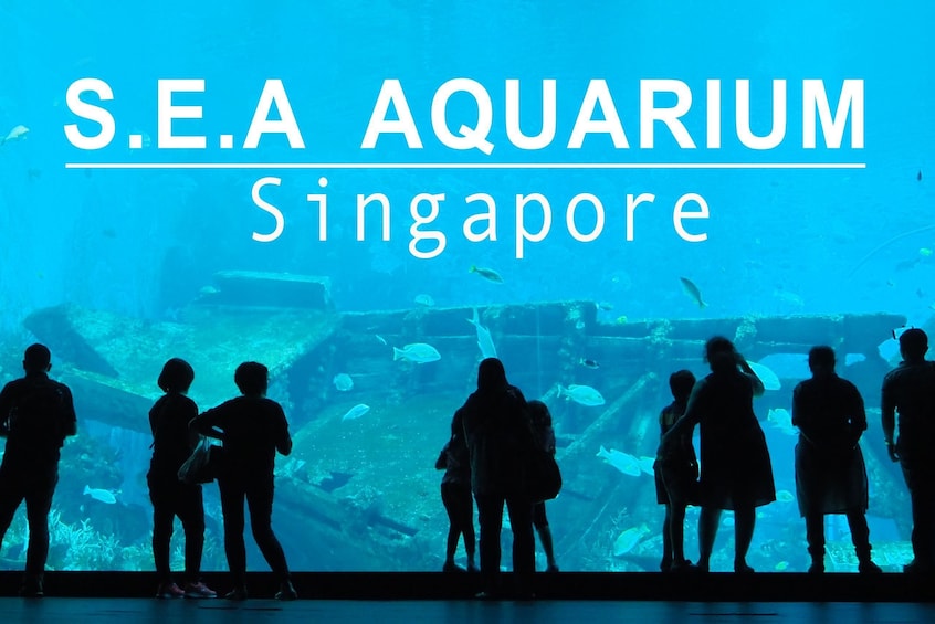 S.E.A. Aquarium™ Ticket with Hotel Pickup