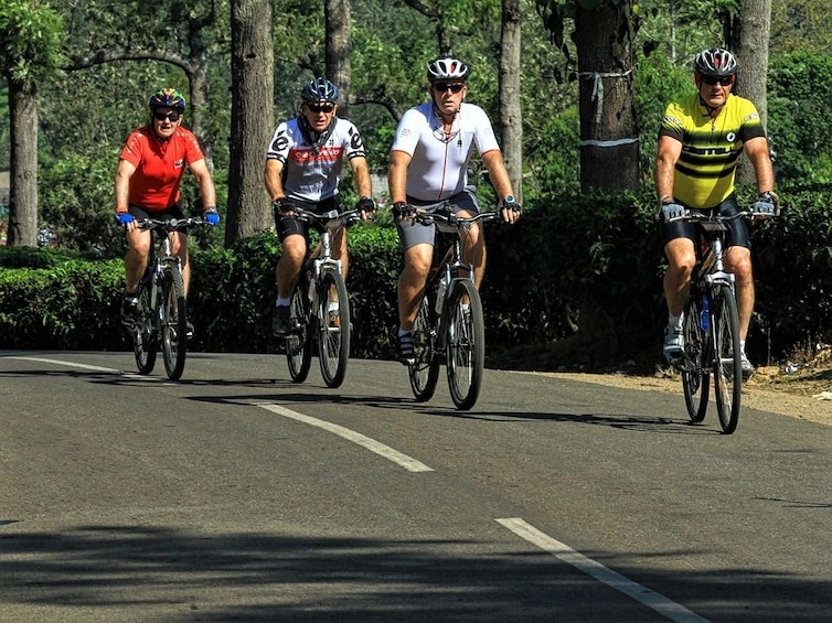 Show item 1 of 4. Bicycle Tour With Guide in Munnar