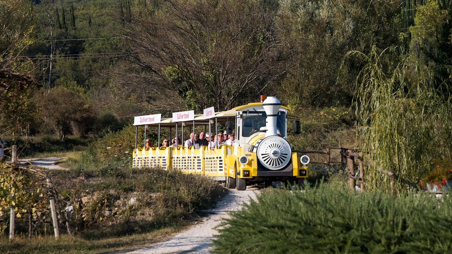 Konavle Wine Train
