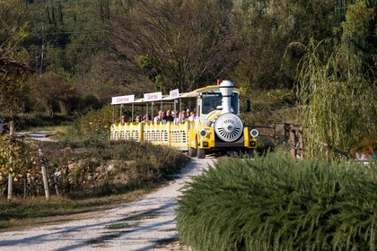 นั่งรถไฟชมวิวผ่านหุบเขา Konavle รวมถึงการชิมไวน์