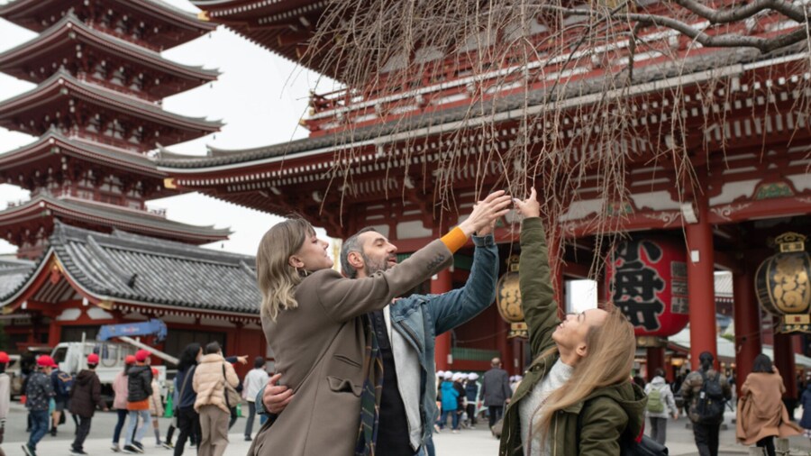 Tokyo Walking Tour: Private & Personalized with a Local Guide