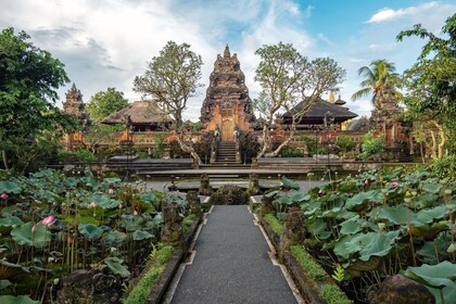 Tur Pagi Hari Pribadi di Permukaan Ubud