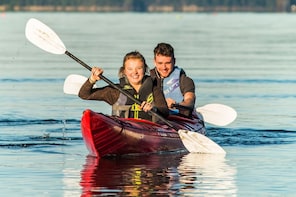 Kayak w. Seals on Lopez Island - Family Friendly Rental