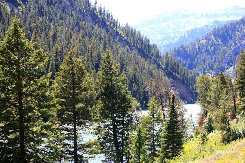 Snake River Whitewater- Standard Raft