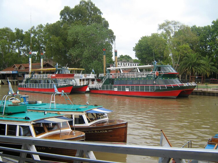 Promo Buenos Aires: Tigre Delta + Dinner & Tango Show 
